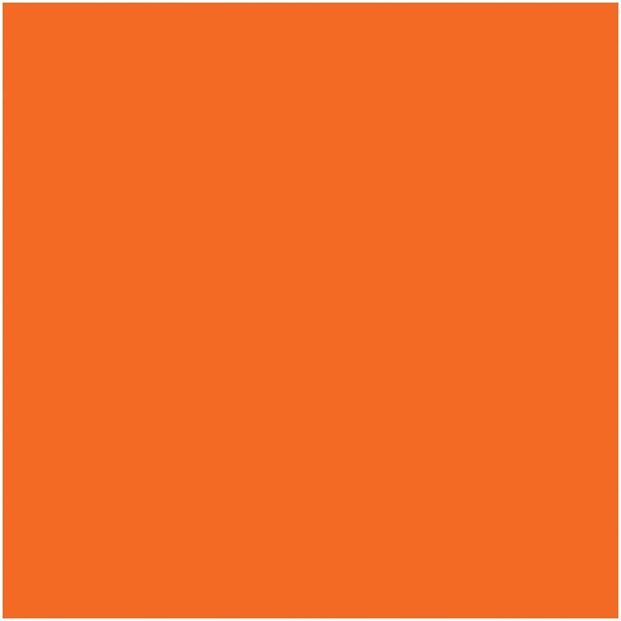 Neon Orange Bandana