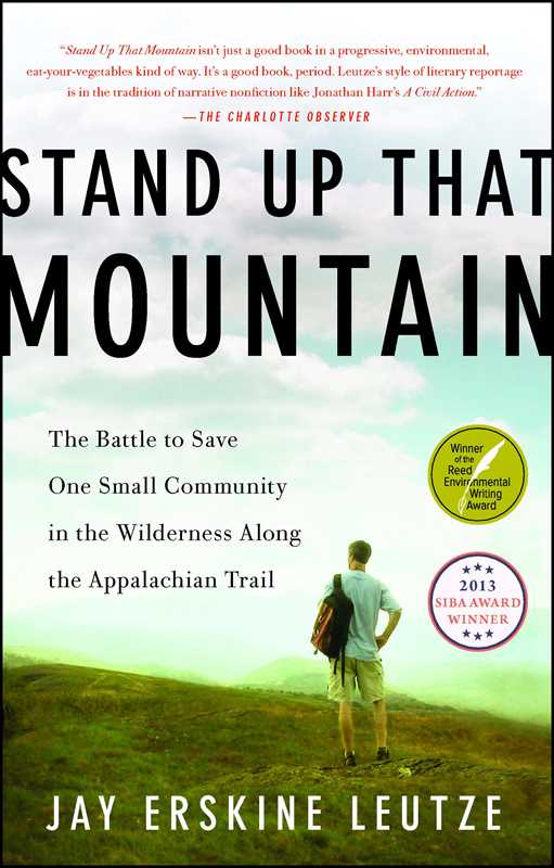 Stand Up That Mountain by Jay Erskine Leutze