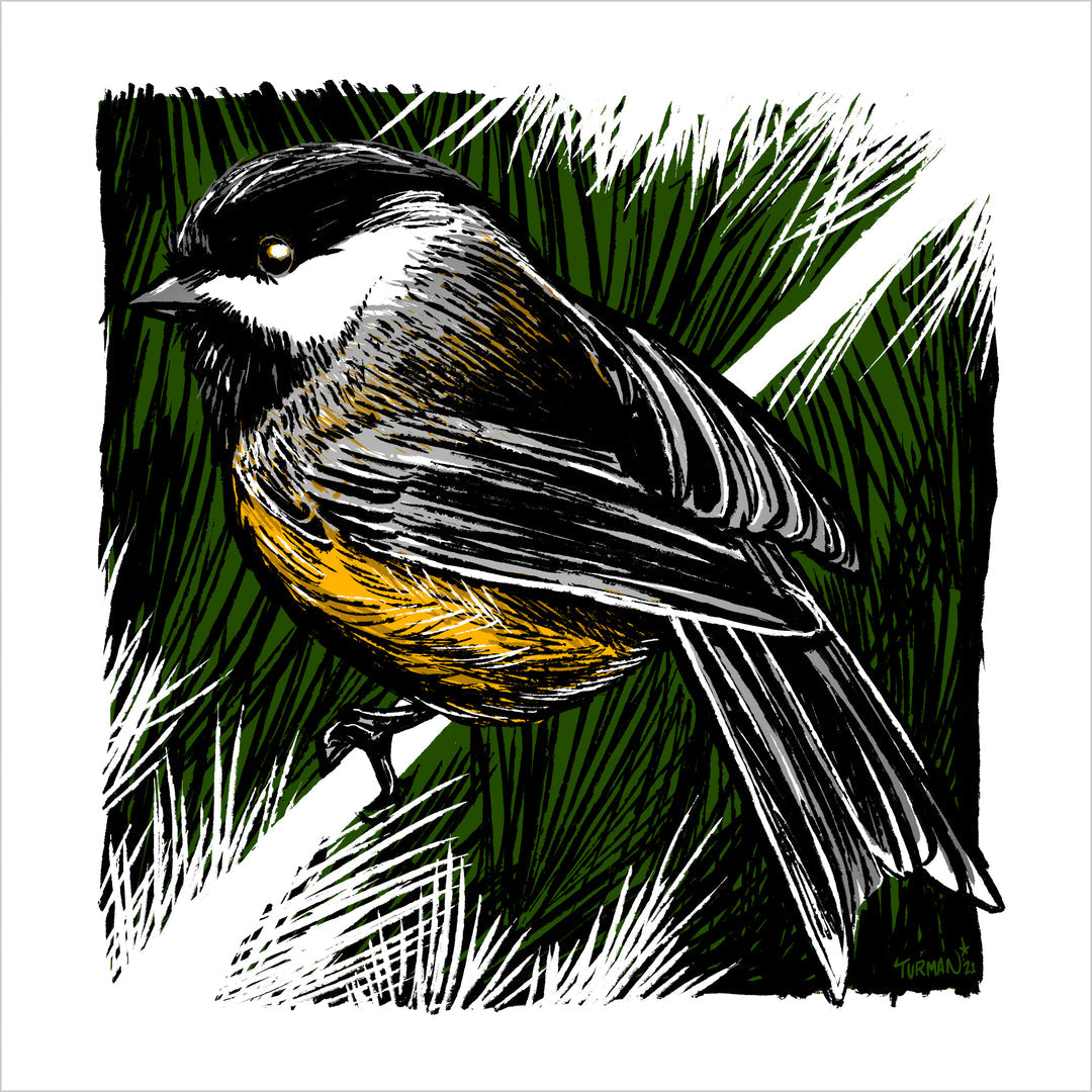 Chicadeedeedee || Adam Turman Art || Minnesota Made Gifts