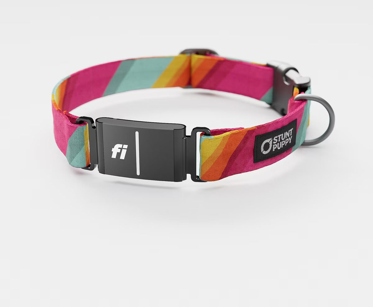 All Are Welcome Here Everyday Collar