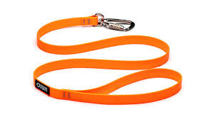 Dry Leash - Orange/3.5 ft