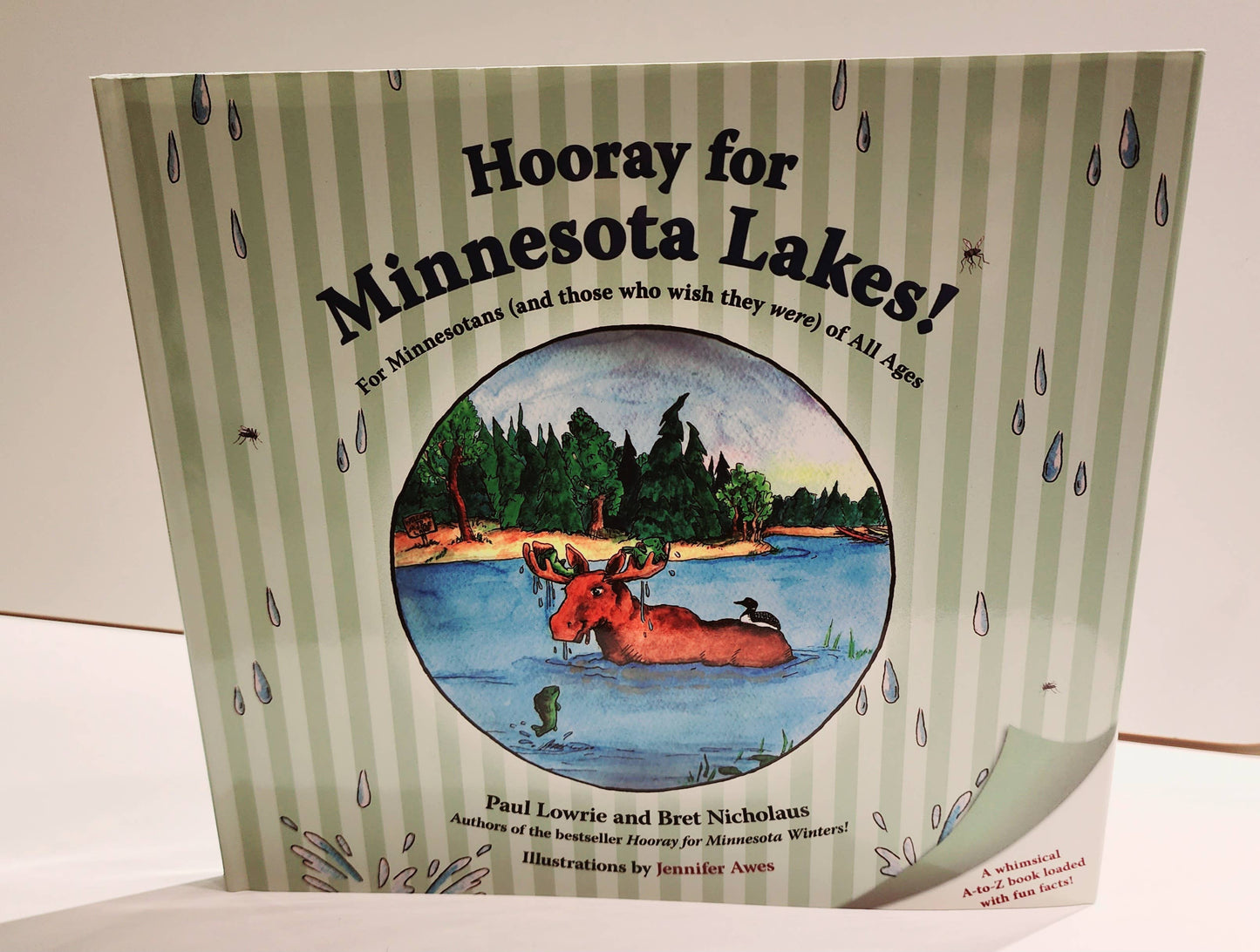 Hooray for Minnesota Lakes! For all Ages
