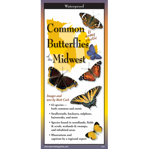 FoldingGuides™ – Common Butterflies of the Midwest