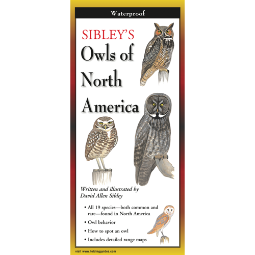 FoldingGuides™ – Sibley's Owls of North America