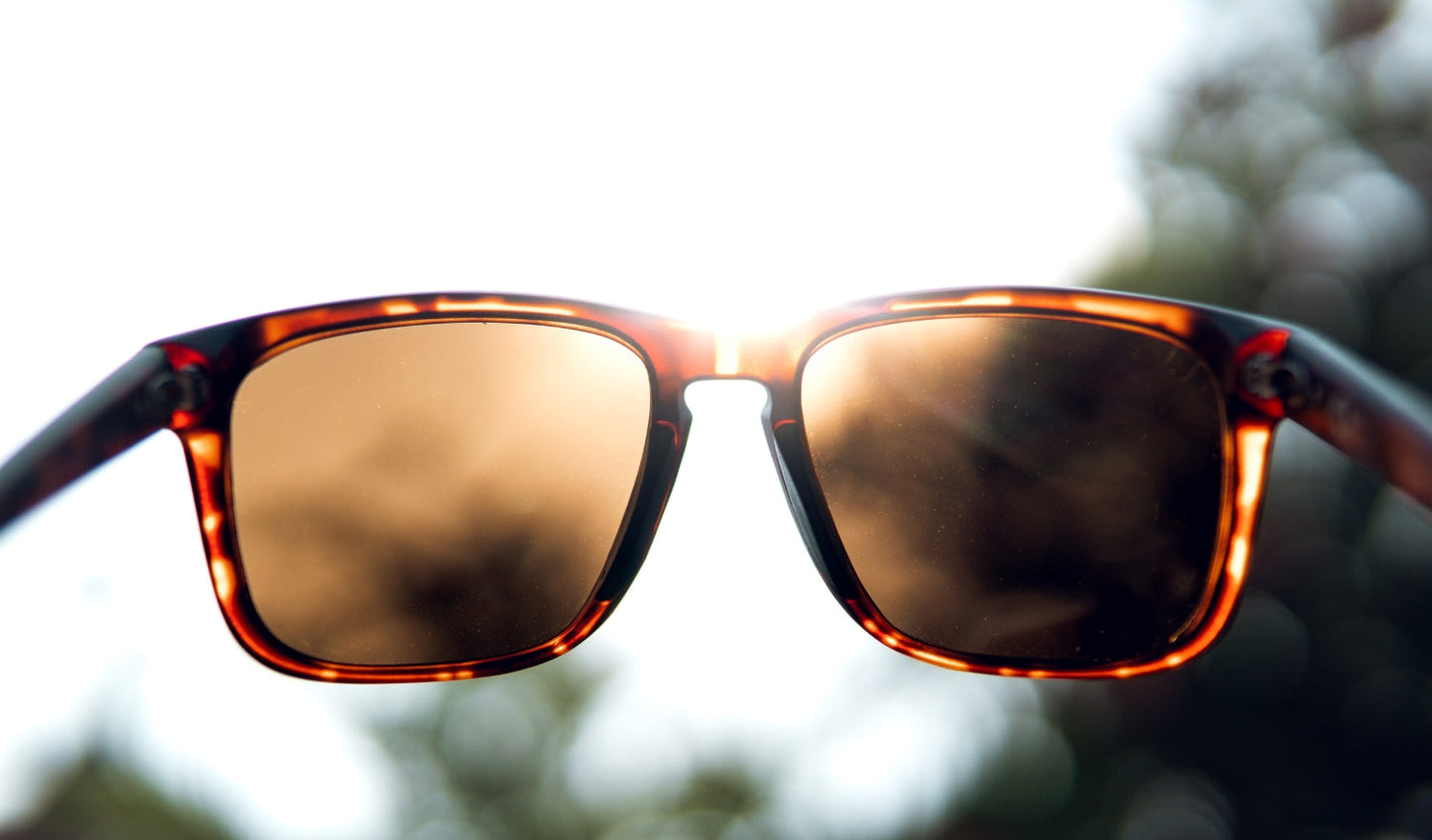 Ziggy Sunglasses