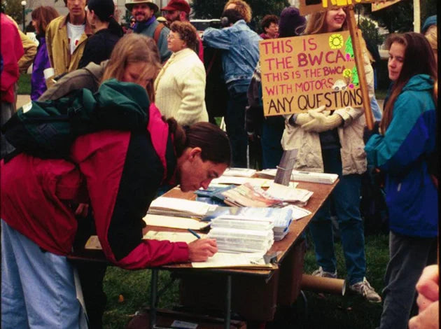Friends of the Boundary Waters Collection