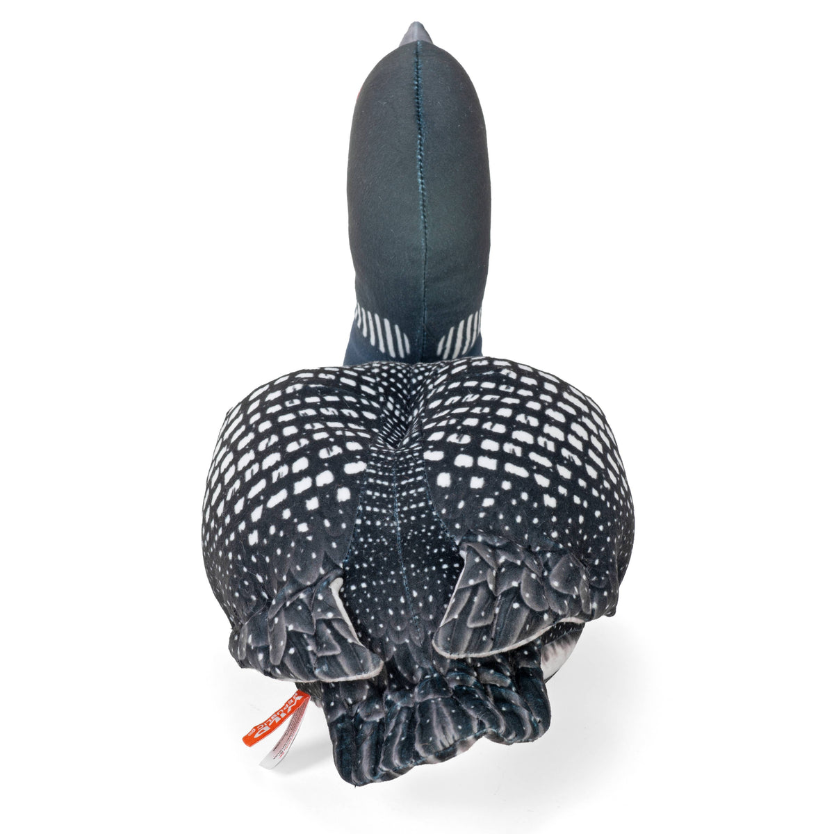 CK Loon Stuffed Animal  6"