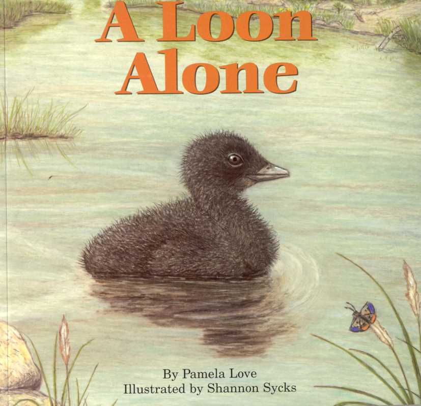 Loon Alone by Pamela Love || Minnesota Made Gifts