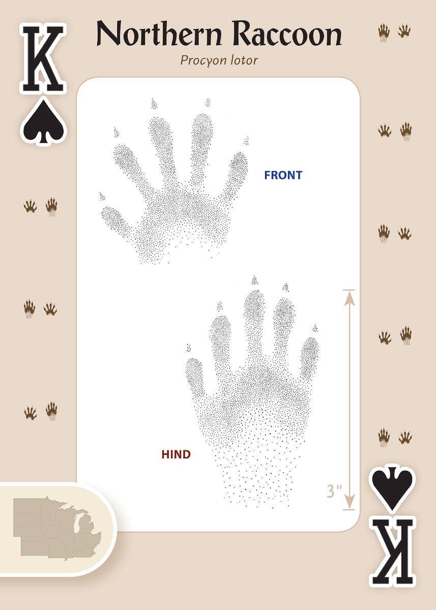 Animal Tracks of Midwest Playing Cards
