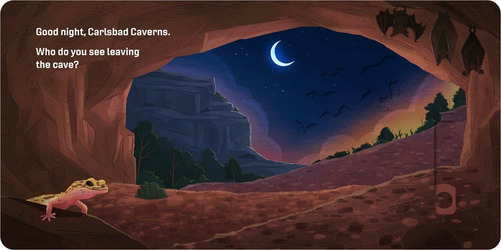 Good Night, National Parks