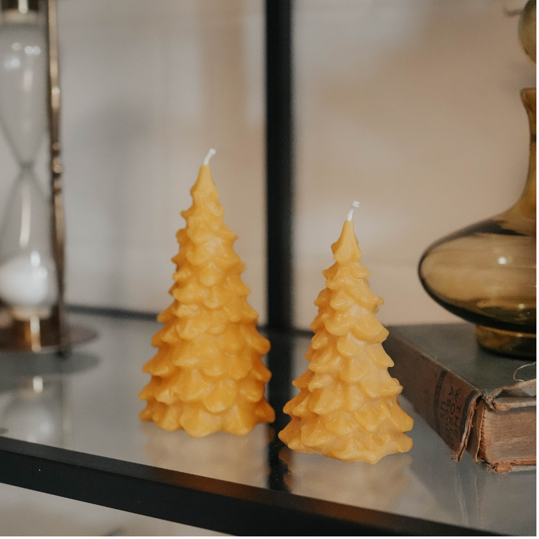 Northwoods (Lrg) – Pine Tree Beeswax Candle