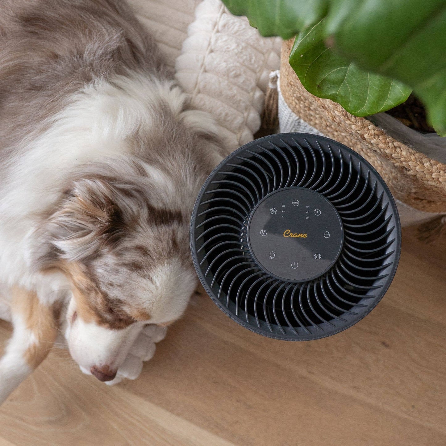 True-HEPA Tower Air Purifier, Quality Indicator, Child Lock