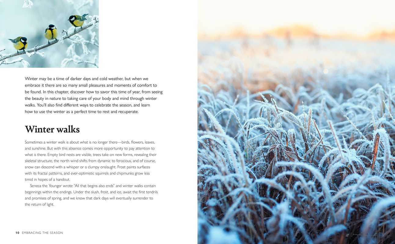 Winter Wellbeing by CICO Books