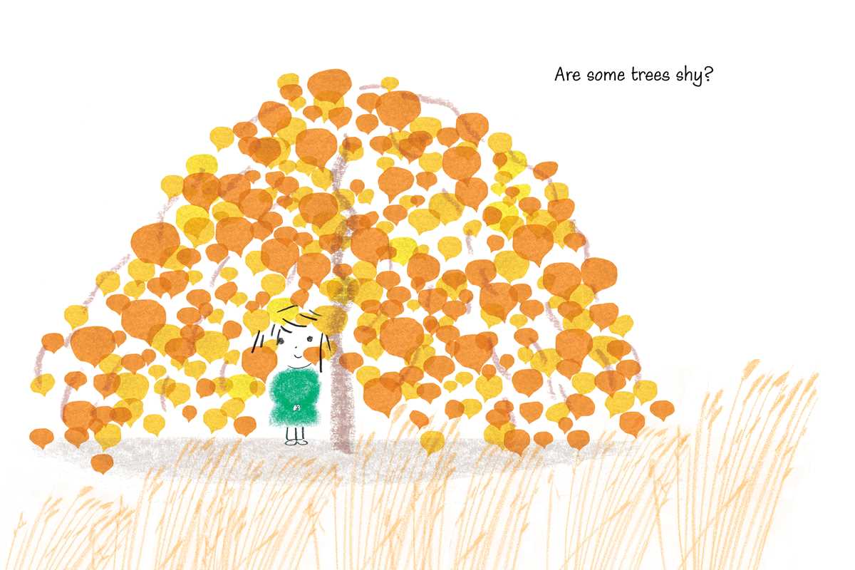 Some Questions About Trees by Toni Yuly