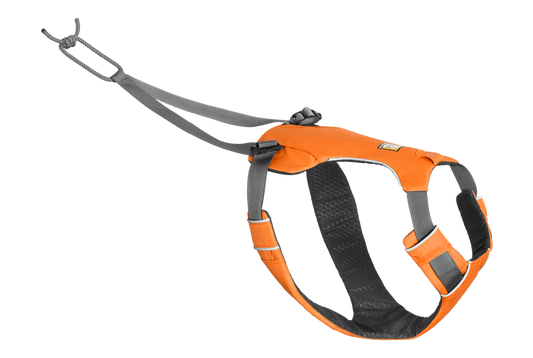 Omnijore™ Dog Joring System Orange Poppy || Minnesota Made Gifts