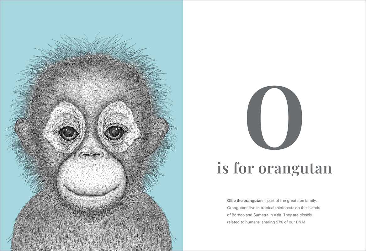Animal Alphabet by || Minnesota Made Gifts