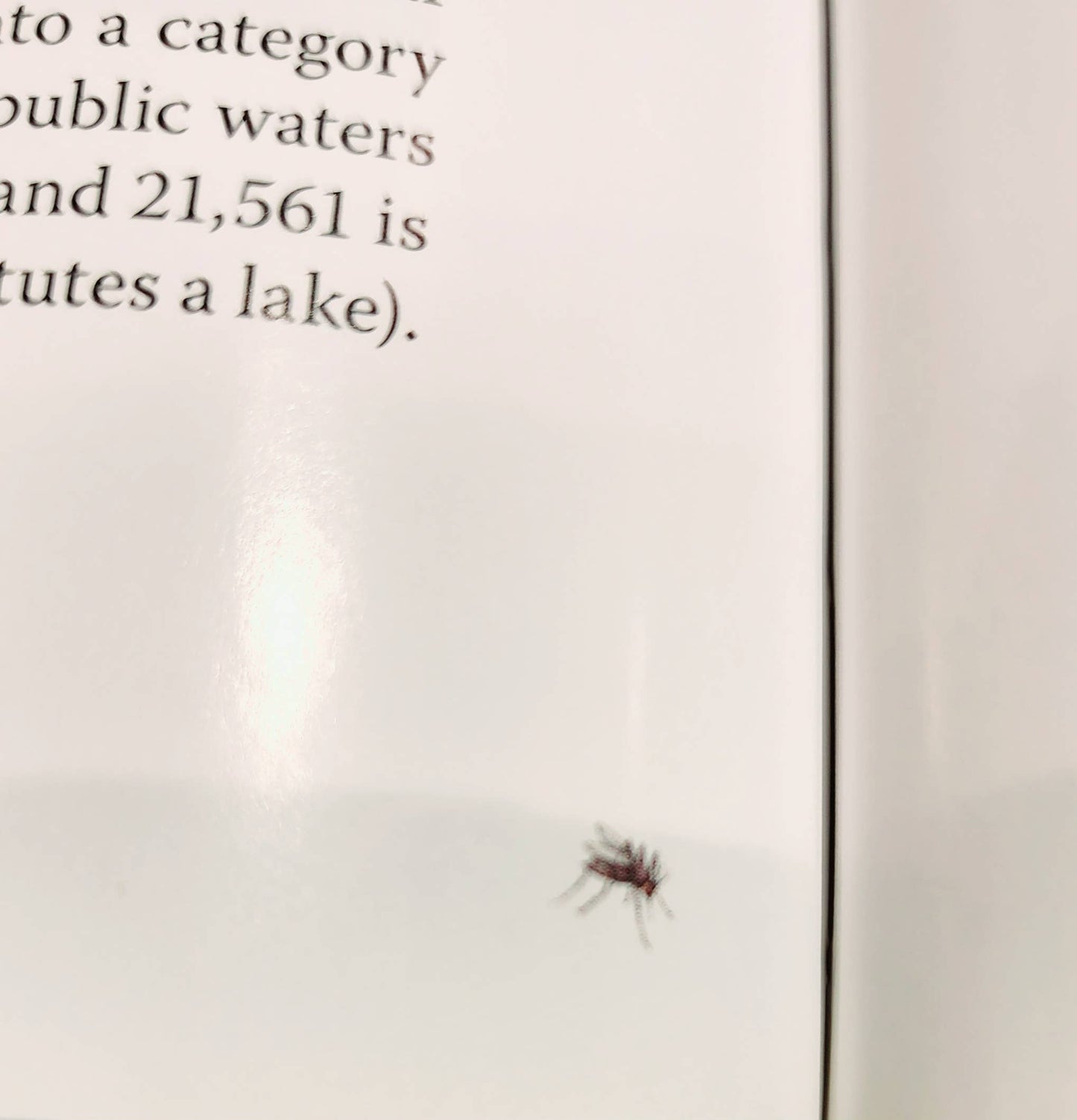 Hooray for Minnesota Lakes! For all Ages