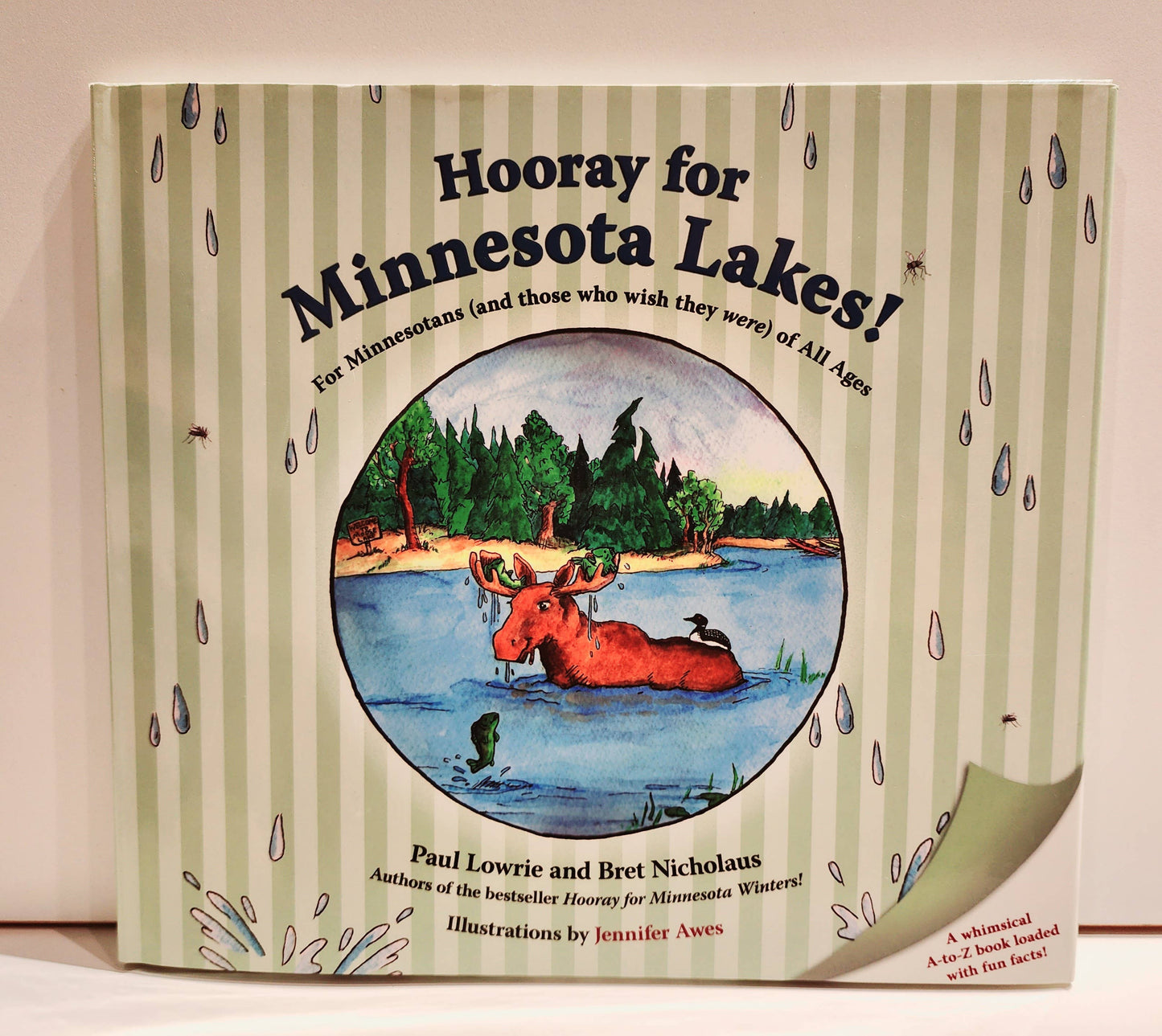 Hooray for Minnesota Lakes! For all Ages