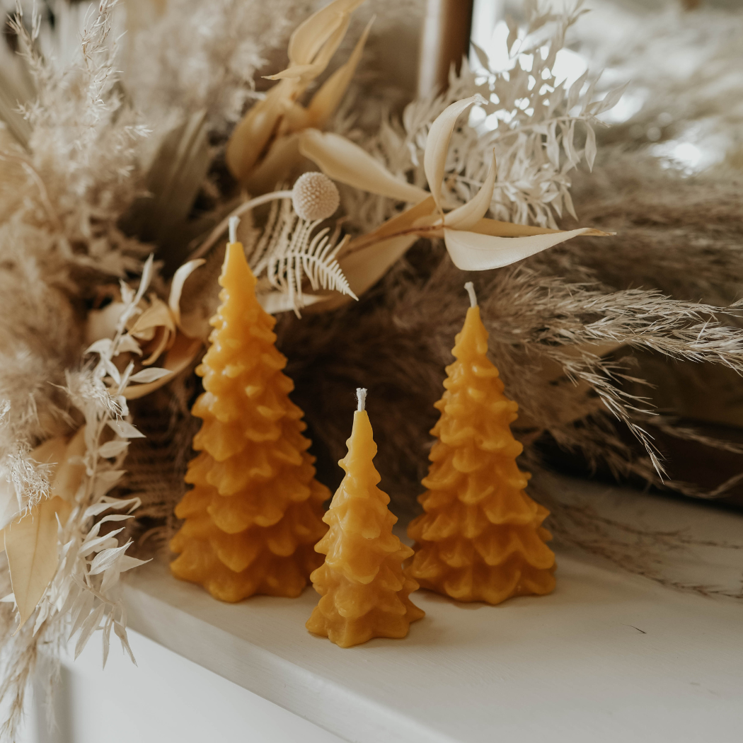 Northwoods (Lrg) – Pine Tree Beeswax Candle