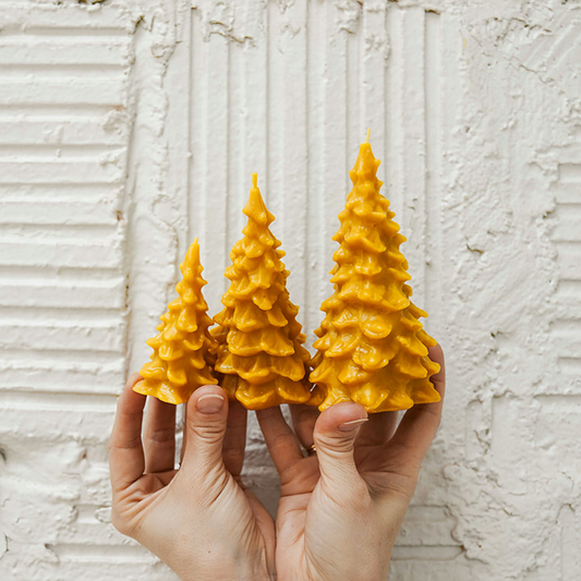 Northwoods (Med) – Pine Tree Beeswax Candle