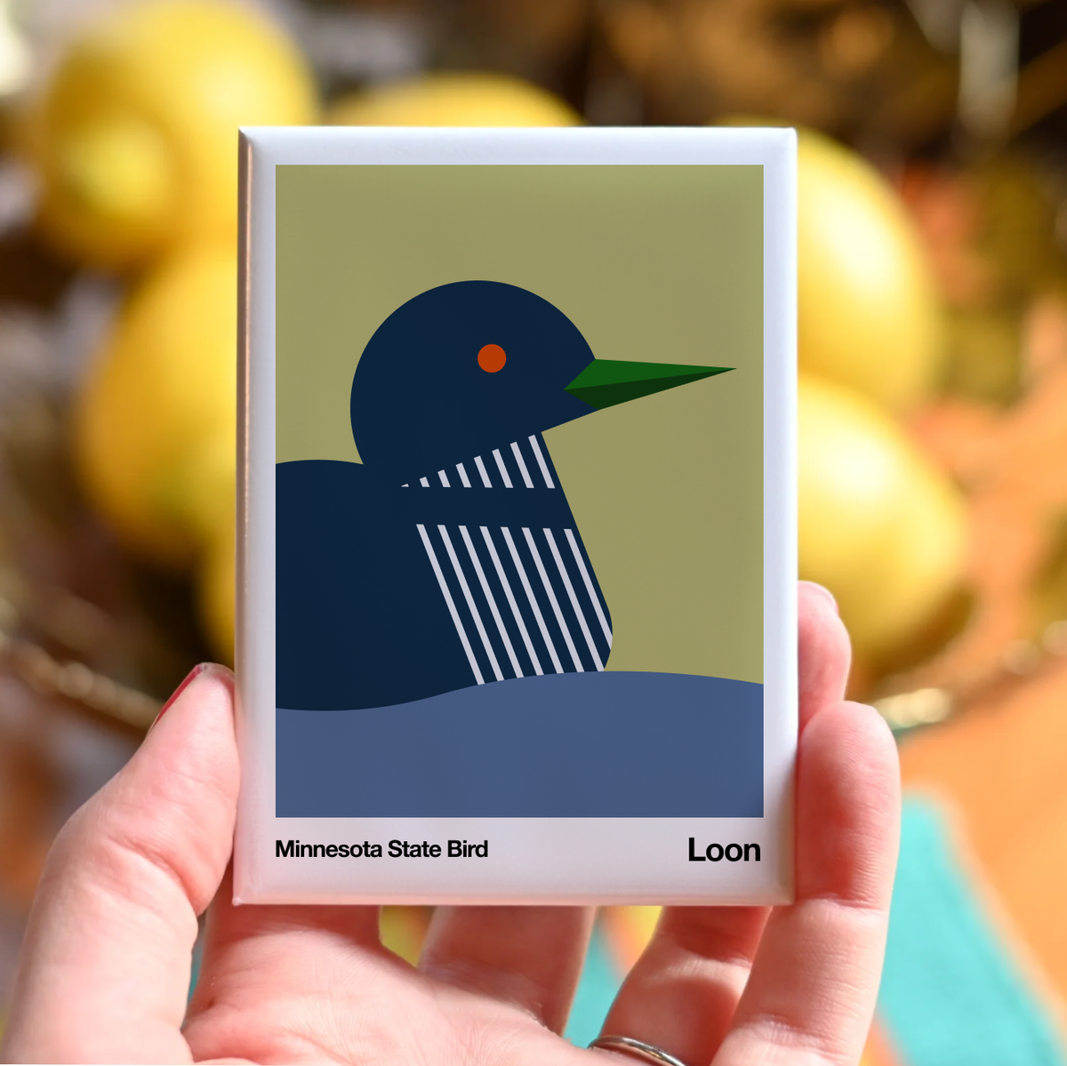 Magnet | Loon | Bird Series