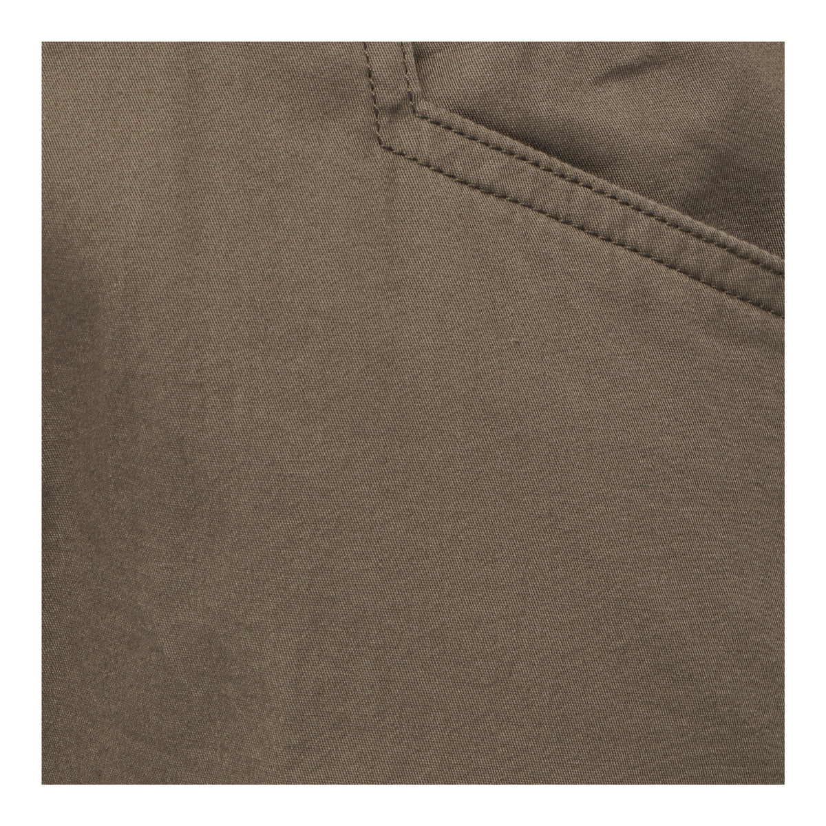 Notion Pant
