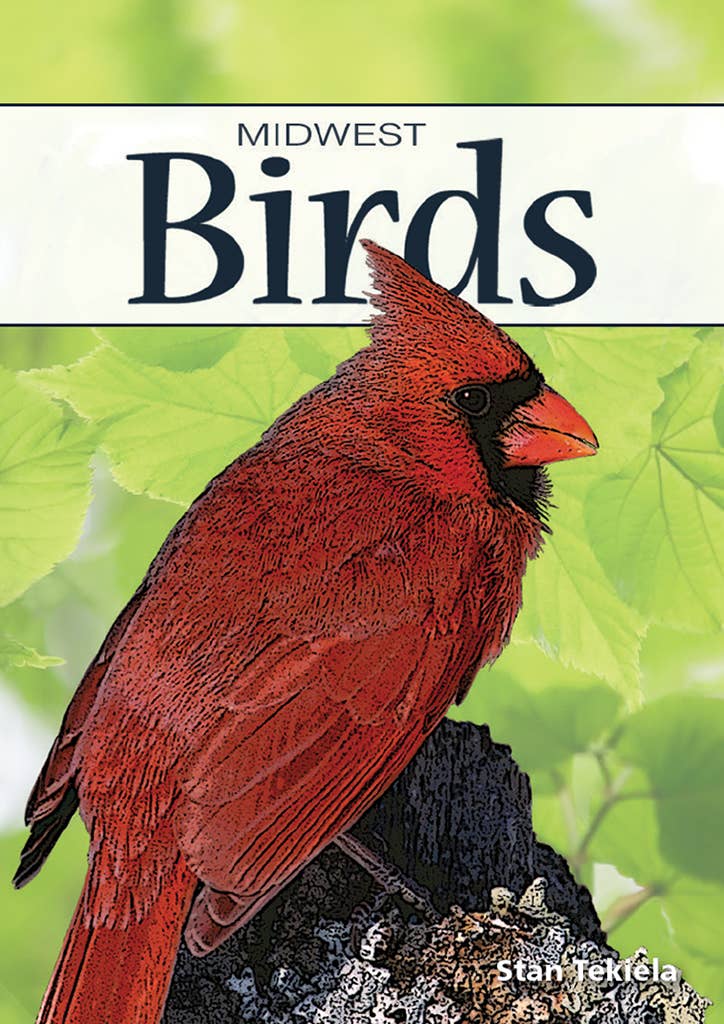 Birds of Midwest Playing Cards || Minnesota Made Gifts