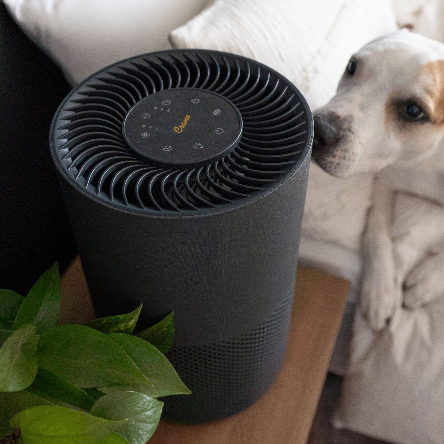 True-HEPA Tower Air Purifier, Quality Indicator, Child Lock