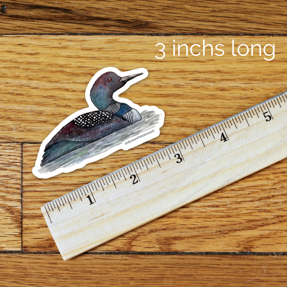 Loon - Vinyl Decal Sticker