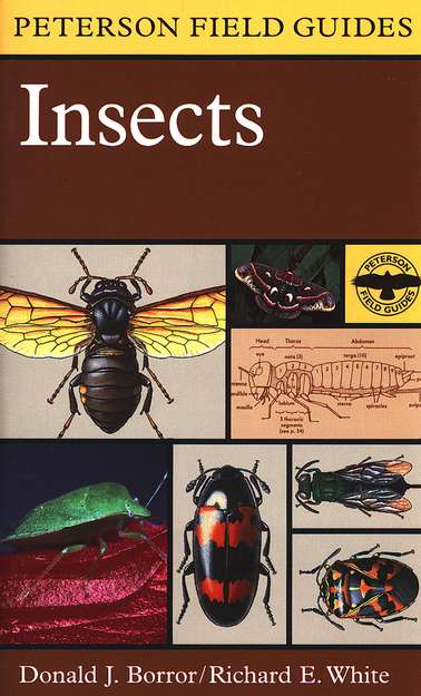 Peterson Field Guides Insects; Borror/White