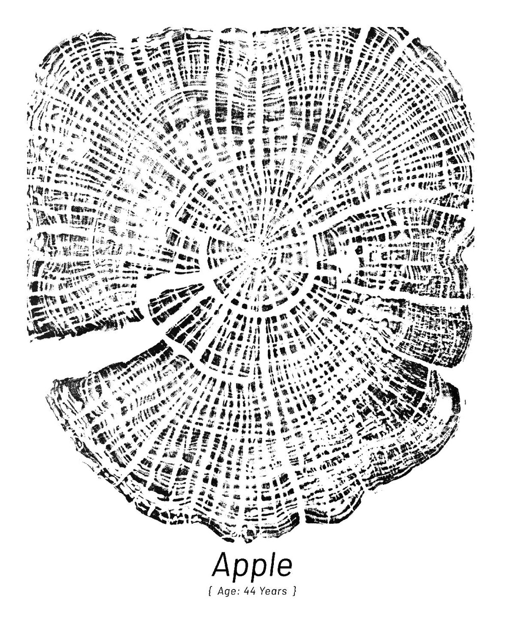 "Apple 44" Screen Print