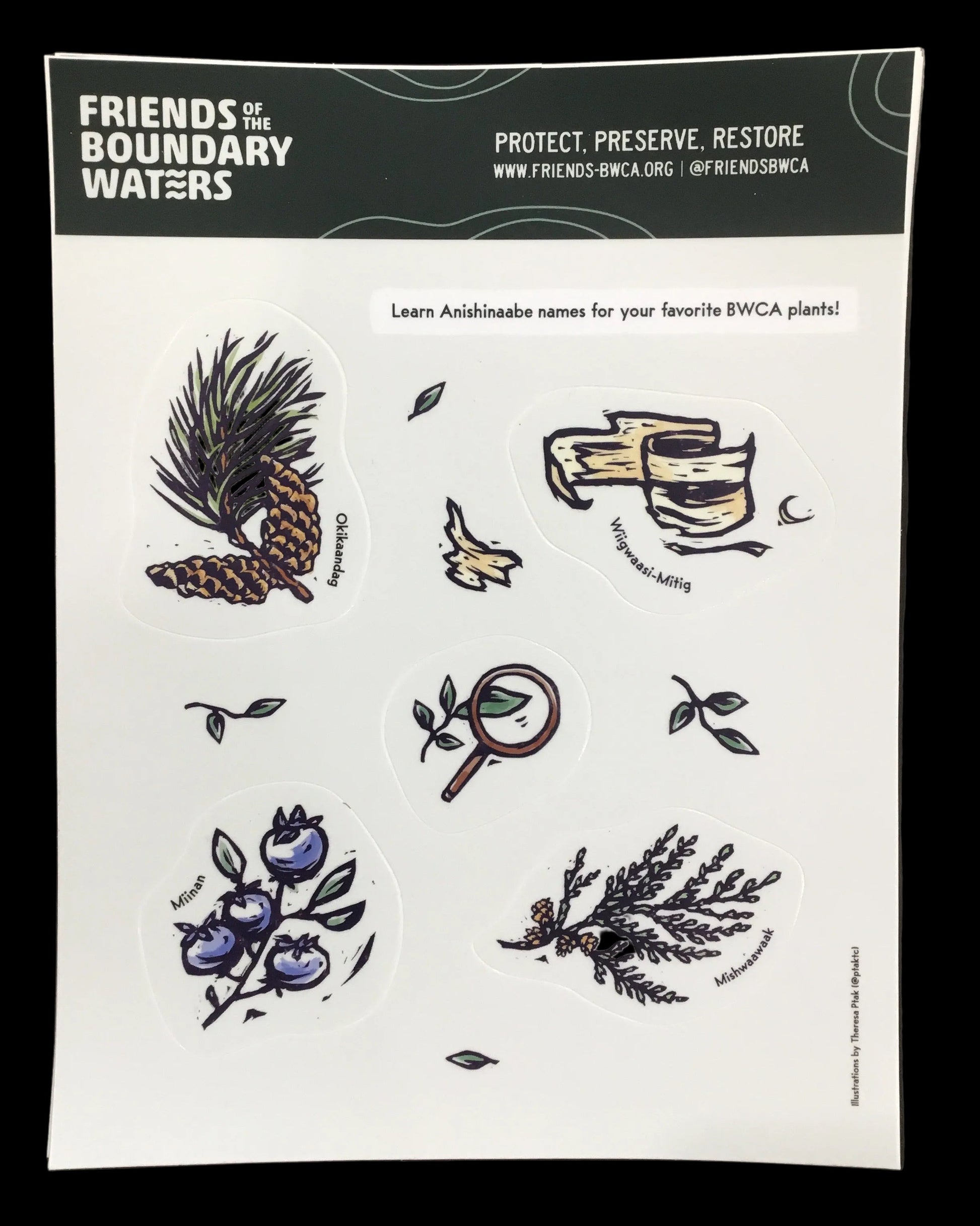 Friends of the BWCA Sticker sheet || Minnesota Made Gifts
