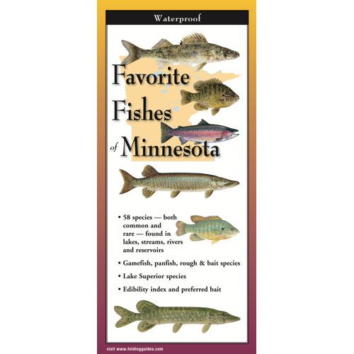 Favorite Fishes of Minnesota, Folding Guide