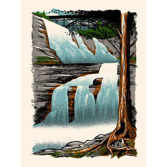 Gooseberry Falls || Adam Turman Art