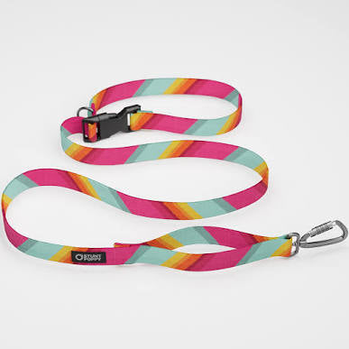 All Are Welcome Here Everyday Leash - 1 Inch Wide