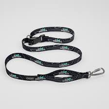 Save The Boundary Waters Everyday Leash - 1 Inch Wide