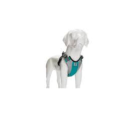 Go Dog Glo Harness