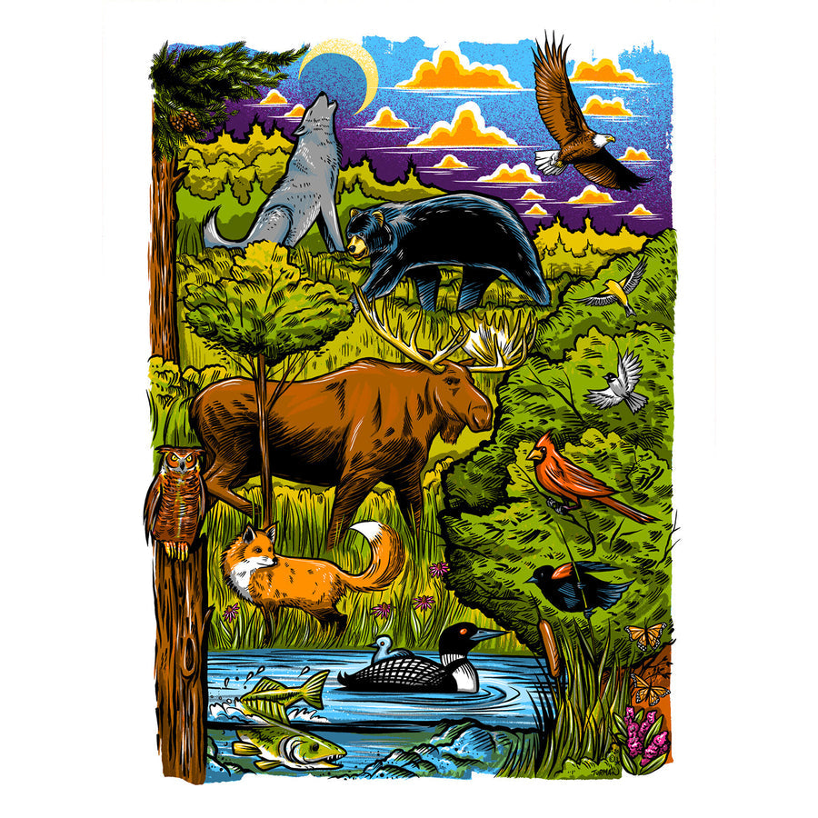 MN Wildlife || Adam Turman Art || Minnesota Made Gifts