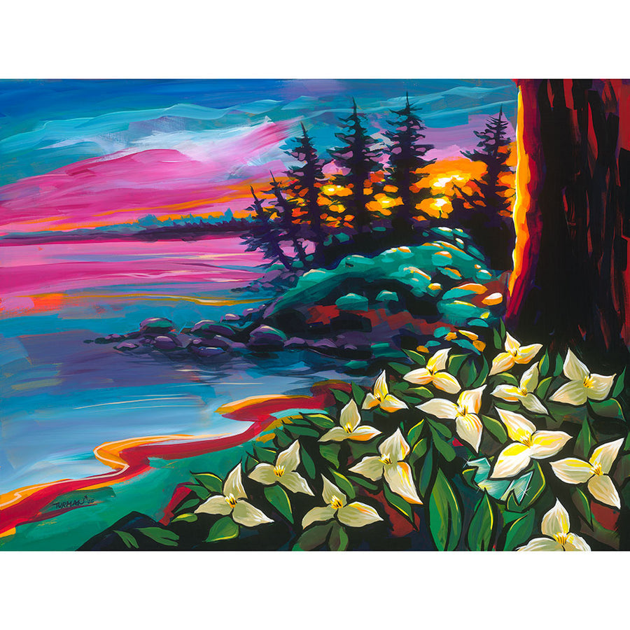 Sunlit Suntanned Trillium || Adam Turman Art || Minnesota Made Gifts