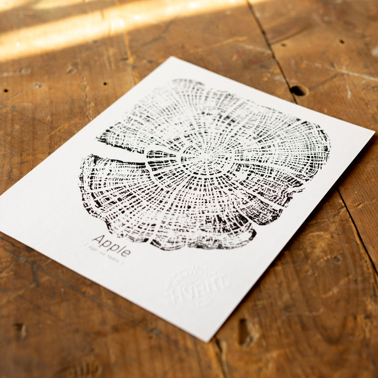 "Apple 44" Screen Print