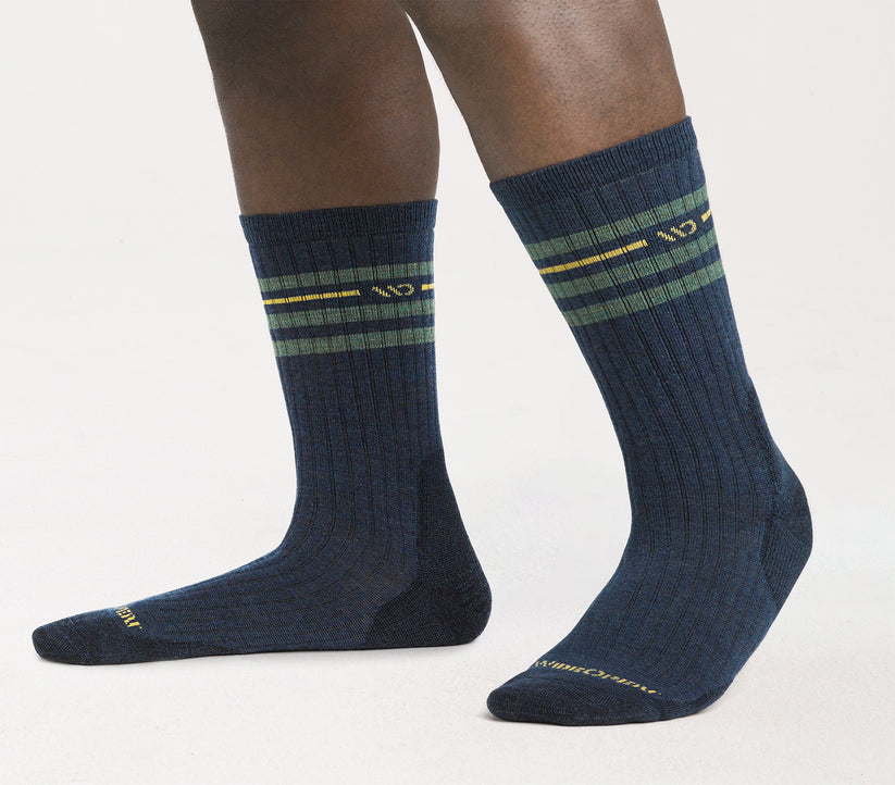 Wide Open Vintage Stripe Cushioned Crew Sock 9002