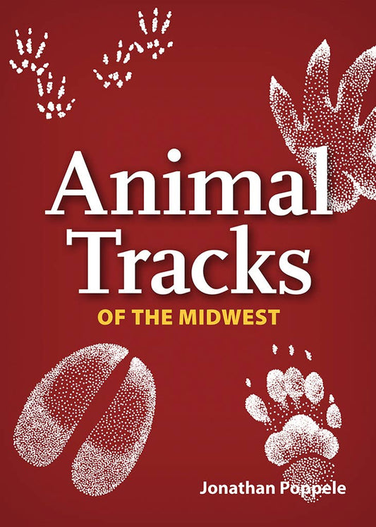 Animal Tracks of Midwest Playing Cards || Minnesota Made Gifts