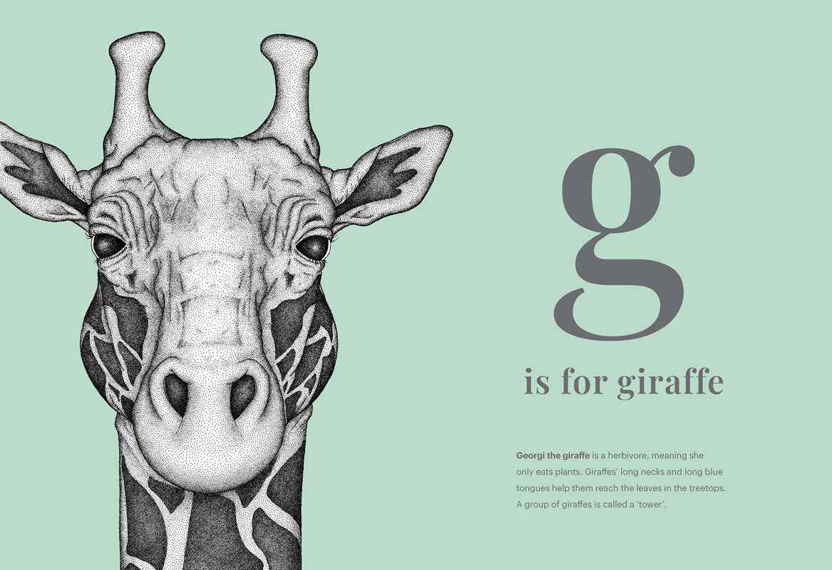 Animal Alphabet by || Minnesota Made Gifts