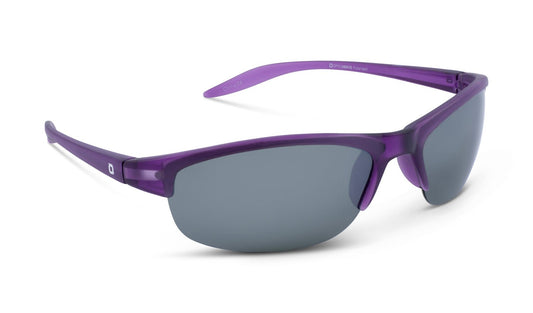 Alpine Sunglasses