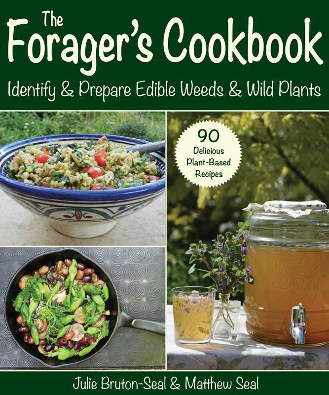 Forager's Cookbook by Julie Bruton-Seal || Minnesota Made Gifts