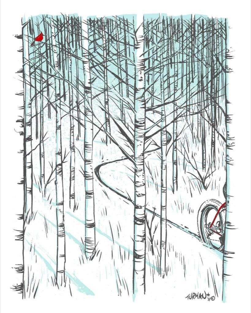 Cardinal || Adam Turman Art || Minnesota Made Gifts