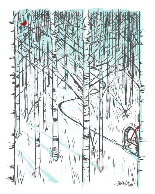 Cardinal || Adam Turman Art