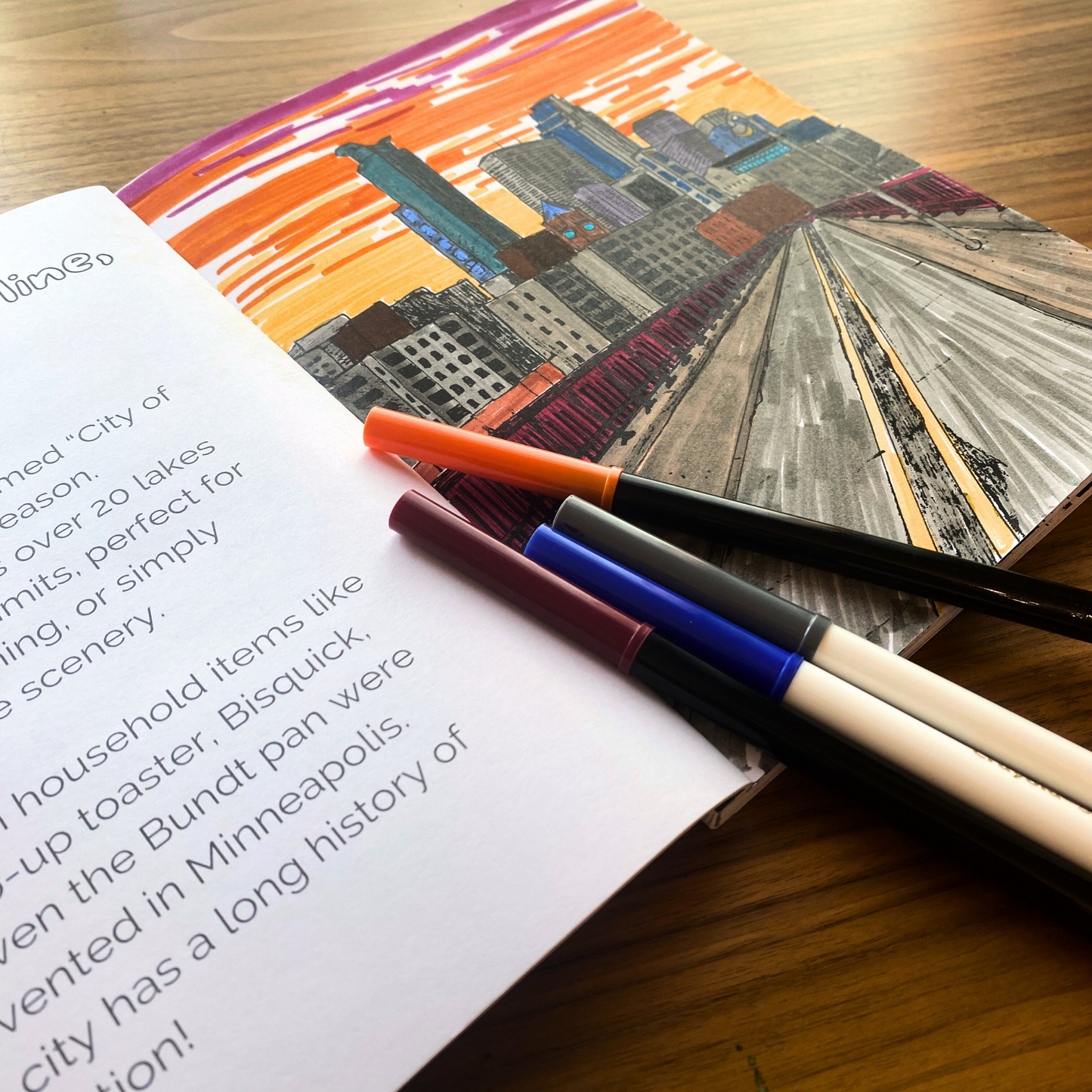 Minnesota Hand-Drawn Coloring Book