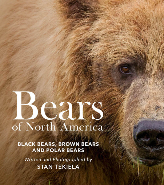 Bears of North America 2e; Tekiela
