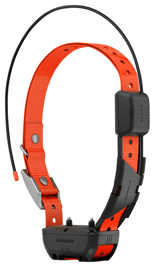 Garmin Alpha TT25 GPS Collar
